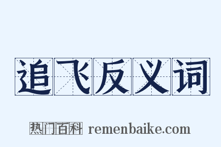 追飞反义词是什么意思的图片